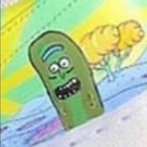 Meet your Posher, Tanner